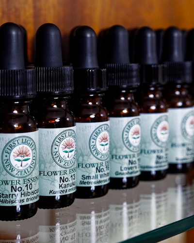 Sole to Sole flower essence therapy Sole to Sole flower essence therapy